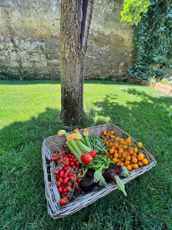 Casa Vayu - Rooms & Garden Naples Exterior photo